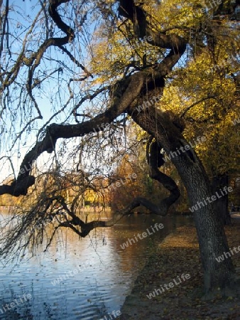 Englischer Garten M?nchen