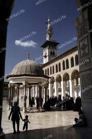 Asien, Naher Osten, Syrien, Damaskus,   Der Innenhof der  Omaijad Moschee im Souq und Altstadt von Damaskus in der Hauptstadt von Syrien. 