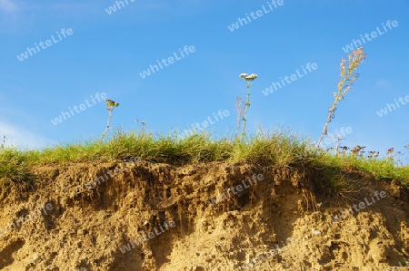 Grassy dune under a blue sky - Gras bewachsene D?ne unter blauem Himmel