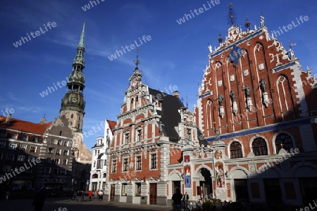 Die Petrikirche und das Schwarzhaeupterhaus in der Altstadt von Riga der Hauptststadt von Lettland im Baltikum in Osteuropa.  