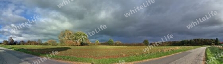 Beautiful high resolution panorama of a northern european country landscape with fields and green grass.