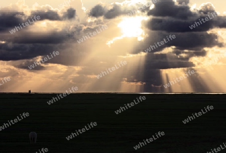 Sonnenstrahlen ?ber dem Wattenmeer