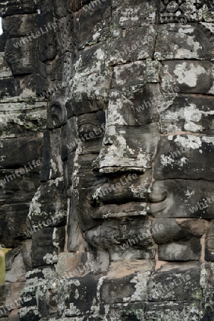 Stone Faces the Tempel Ruin of Angkor Thom in the Temple City of Angkor near the City of Siem Riep in the west of Cambodia.