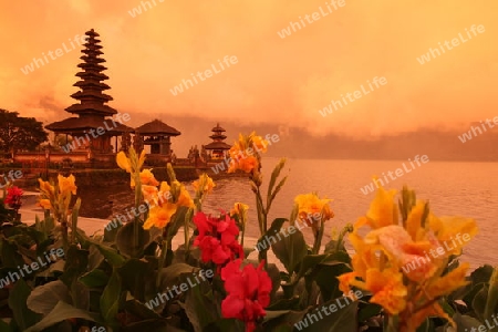 Der Pura Ulum Danu Tempel am Bratan See im Noden von Bali auf der Insel Bali in Indonesien..