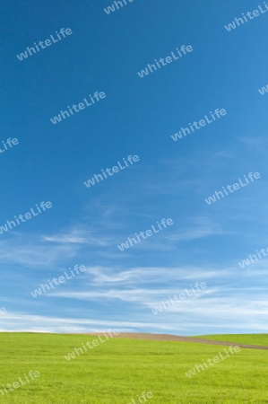 Wiese mit Acker bei blauem Himmel mit Schleierwolken