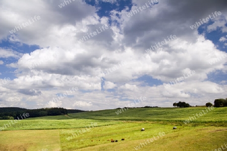 Wolken ?ber Feldern