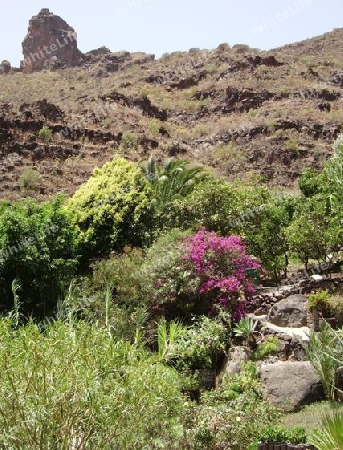 Kanarische Berglandschaft