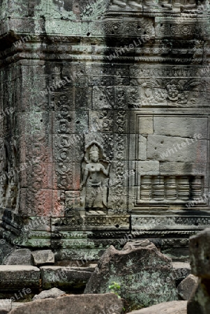 The Temple of  Preah Khan in the Temple City of Angkor near the City of Siem Riep in the west of Cambodia.