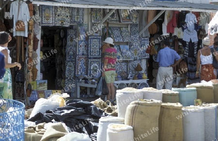 Der Markt auf dem Dorfplatz in der Altstadt von Douz im Sueden von Tunesien in Nordafrika.