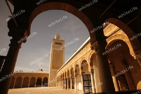 Afrika, Nordafrika, Tunesien, Tunis, Hauptstadt,  Altstadt, Architektur, Souq, Markt, Bazaar, Moschee, Minarett, Medina,
Die Grosse Moschee im Traditionelle Souq oder Markt oder Bazaar in der Altstadt oder Medina der Hauptstadt Tunis im Norden von Tu