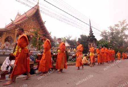 Moenche am fruehen Morgen beim einsammeln von Reis in der Altstadt von Luang Prabang in Zentrallaos von Laos in Suedostasien.