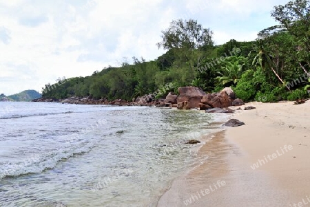 Sunny day beach view on the paradise islands Seychelles.