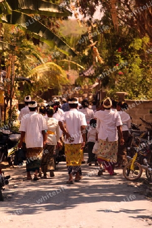 Asien, Suedost, Indonesien, Bali, Insel, Nusa Lembongan, Jungutbatu, Dorf, Zentrum, Fest, Zeremonie, Hindu, Festival, Religion,   (Urs Flueeler) 