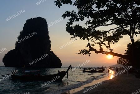 The Hat Phra Nang Beach at Railay near Ao Nang outside of the City of Krabi on the Andaman Sea in the south of Thailand. 