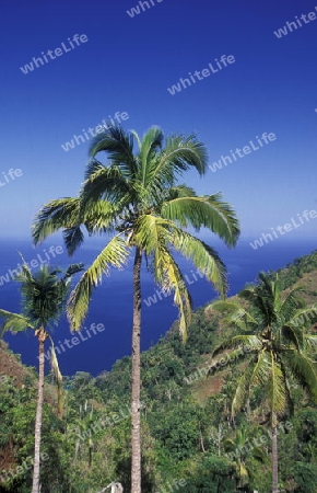 the mountain Landscape on the Island of Anjouan on the Comoros Ilands in the Indian Ocean in Africa.   