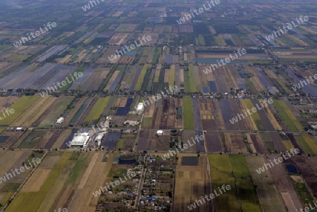 Die Landwirtschaft am rande der Stadt Bangkok in Thailand in Suedostasien.