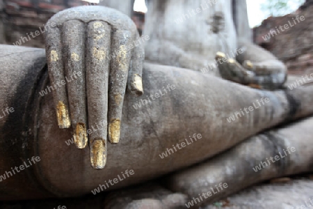 Die Buddha Figur  im Wat Si Chum Tempel in der Tempelanlage von Alt-Sukhothai in der Provinz Sukhothai im Norden von Thailand in Suedostasien.