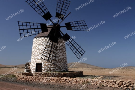 a Windmill near the Village of Antigua on the Island Fuerteventura on the Canary island of Spain in the Atlantic Ocean.