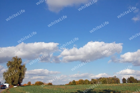 Wolken und Weide