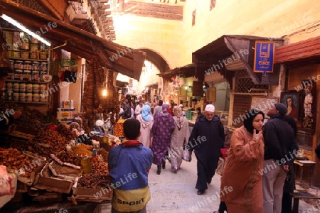 a smal Marketroad in the Medina of old City in the historical Town of Fes in Morocco in north Africa.