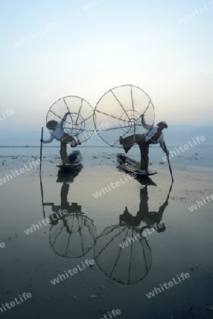 Fishermen at sunrise in the Landscape on the Inle Lake in the Shan State in the east of Myanmar in Southeastasia.