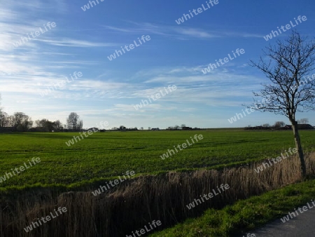 Friesische Landschaft