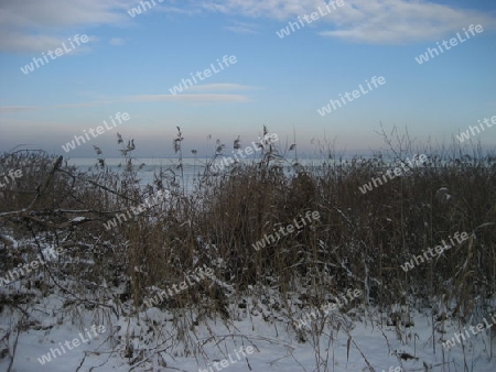 Winterabend am Bodensee