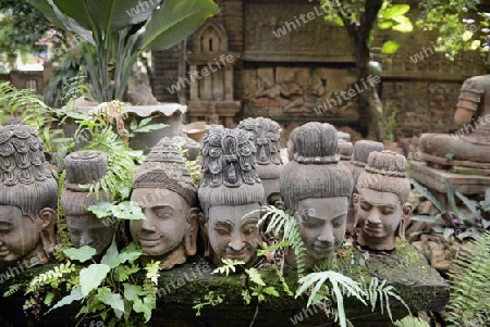 Traditionelle Figuren stehen im Garten von Ban Phor Linag Meuns Terracota Art zum Verkauf bereit dies im Terracota Garden in Chiang Mai im norden von Thailand in Suedostasien.