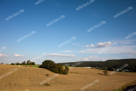 Landschaft bei Jena