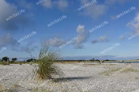 Strand in Prerow, Darss, Ostsee