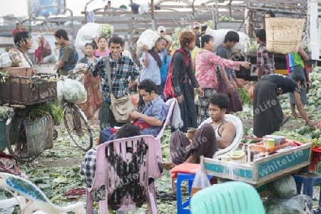 a fegetable market in a Market near the City of Yangon in Myanmar in Southeastasia.