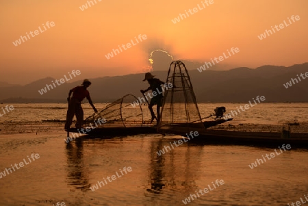 Fishermen at sunrise in the Landscape on the Inle Lake in the Shan State in the east of Myanmar in Southeastasia.