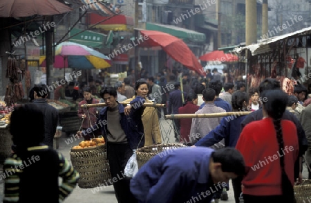 Transport people at the main square in the city of Chongqing in the province of Sichuan in china in east asia. 