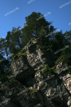 Wilder Fels, Baeume auf seiner Spitze