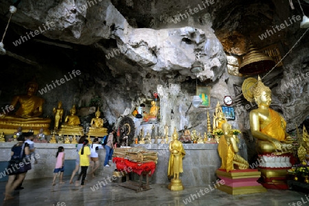 The Temple Wat Tham Seau outside the City centre of Krabi on the Andaman Sea in the south of Thailand. 