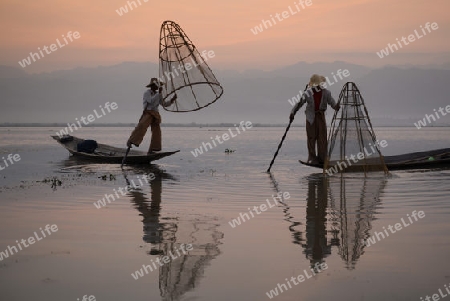 Fishermen at sunrise in the Landscape on the Inle Lake in the Shan State in the east of Myanmar in Southeastasia.