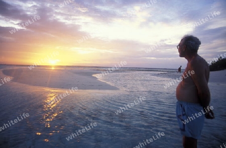 
Der Traumstrand mit Palmen und weissem Sand an der Insel Velavaru im Southmale Atoll auf den Inseln der Malediven im Indischen Ozean.   