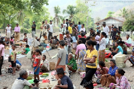 Der Wochenmarkt bei Manatuto an der Nordkueste von Ost Timor auf der in zwei getrennten Insel Timor in Asien.  