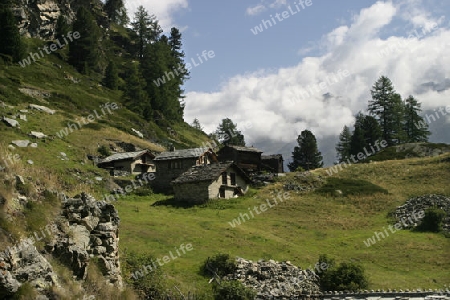 Alpenlandschaft