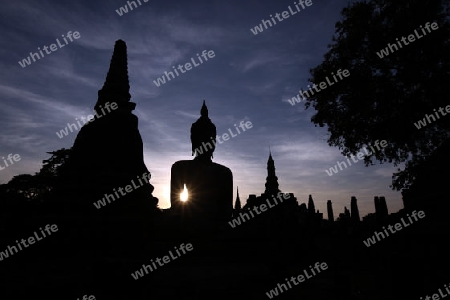 Eine Buddha Figur  im Wat Mahathat Tempel in der Tempelanlage von Alt-Sukhothai in der Provinz Sukhothai im Norden von Thailand in Suedostasien.