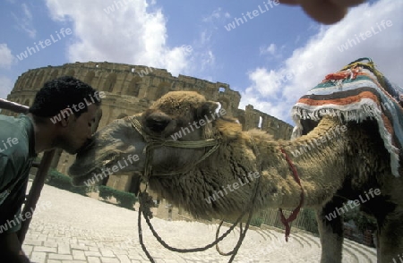 Das Kolloseum in El Jem im zentralen Tunesien in Nordafrika.