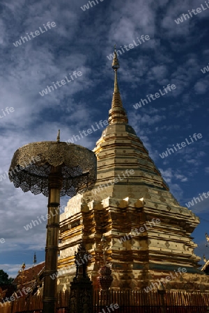 Der Chedi der Tempel Anlage des Wat Phra That Doi Suthep bei Chiang Mai in der Provinz Chiang Mai im Norden von Thailand in Suedostasien.