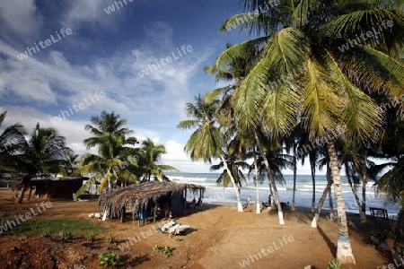 Suedamerika, Karibik, Venezuela, Isla Margarita, Ostkueste, Cuacuco, Playa Cuacuco, Strand, Beach, Meer, Palmen, Landschaft, Restaurant, Bar,  