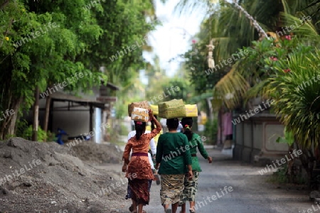 Asien, Suedost, Indonesien, Bali, Insel, Nusa Lembongan, Jungutbatu, Dorf, Zentrum, Fest, Zeremonie, Hindu, Festival, Religion,   (Urs Flueeler) 