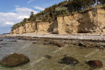 Steilk?ste beim Schwarzen Busch, Insel Poel