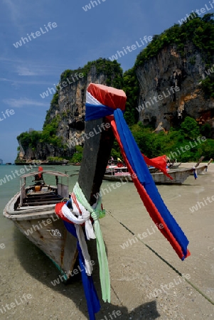 The Hat Tom Sai Beach at Railay near Ao Nang outside of the City of Krabi on the Andaman Sea in the south of Thailand. 