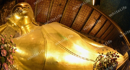 Der Liegende Buddha in der Tempelanlage des Wat Pho in der Hauptstadt Bangkok von Thailand in Suedostasien.