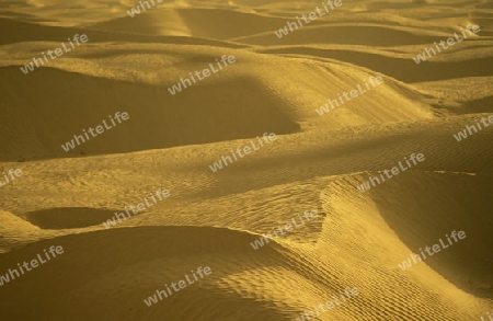 Die Sahara Wueste bei Douz im zentralen sueden in Tunesien in Nordafrika.