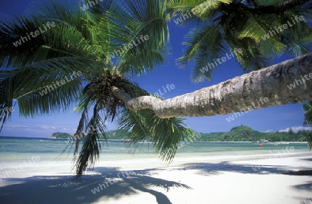 Ein Traumstrand auf der Insel Praslin der Inselgruppe Seychellen im Indischen Ozean in Afrika.