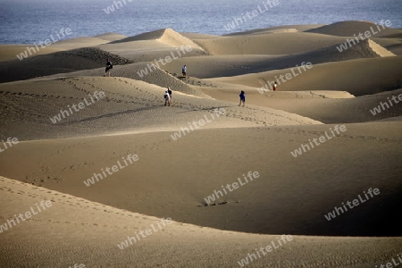 the Sanddunes at the Playa des Ingles in town of Maspalomas on the Canary Island of Spain in the Atlantic ocean.